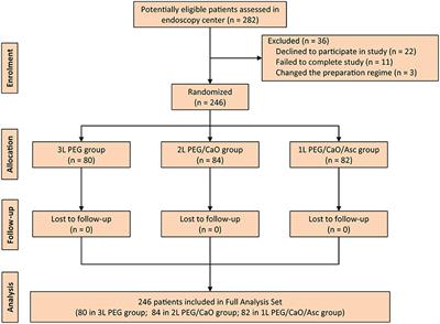 A Randomized Trial of Split Dose 3 L Polyethylene Glycol Lavage Solution, 2 L Polyethylene Glycol Lavage Combined With Castor Oil, and 1 L of Polyethylene Glycol Lavage Solution Combined With Castor Oil and Ascorbic Acid for Preparation for Colonoscopy